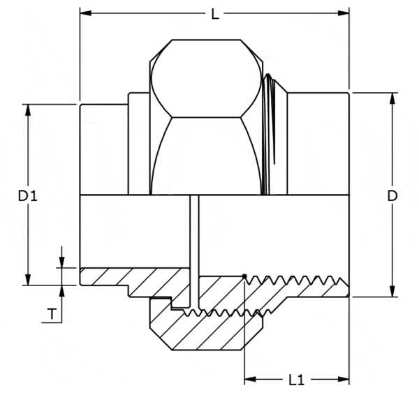 LR-131 I/S Unions Inside threads/Weld Flat gasket PTFE - Image 2